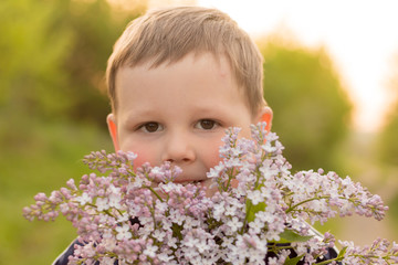 portrait of a boy with lilac.bouquet of purple lilac in children's hands. hands holding a purple lilac flowers bouquet in meadow. a gift to mom.