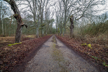 country gravel road with old and broken asphalt