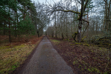 country gravel road with old and broken asphalt