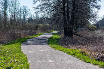 Fototapeta premium country gravel road with old and broken asphalt