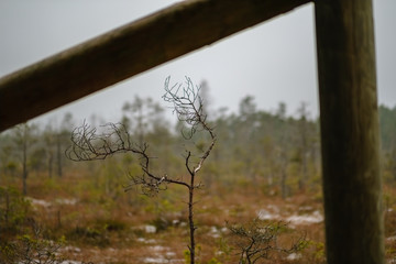 watchtower details and wooden bars, stairs and walls from below up
