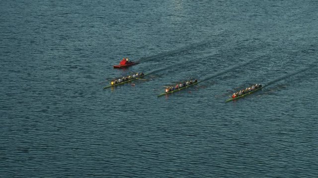 Aerial view rowing crews racing Charles river Boston