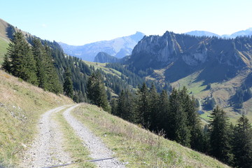 Naklejka premium Wanderweg an der Winterstaude
