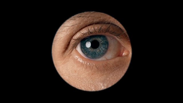 the human eye looks into the eyepiece of the microscope