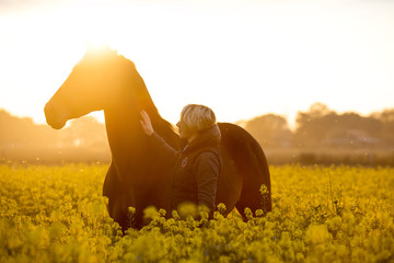 Reiterin lobt Pferd auf dem Feld