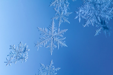 Beautiful snow flake on a light blue background close up