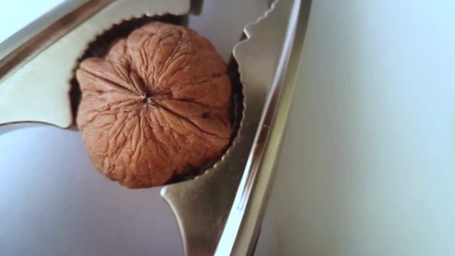 open a walnut with a nutcracker - close up