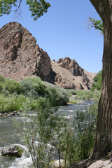 Fototapeta na wymiar Desert River Brings Life to a Barren Landscape