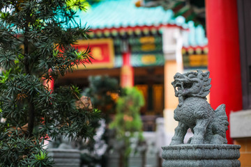 Close up Chinese Lion or dragon stone figurine on blurred temple background