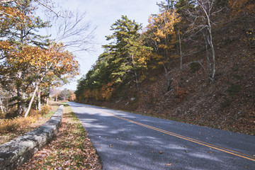 Scenic Blue Ridge Mountain Landscape