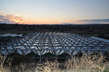 The beautiful Greenhouse