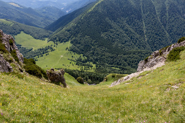 Fototapeta na wymiar Green meadows and pine forests on the mountain slopes, Slovakia