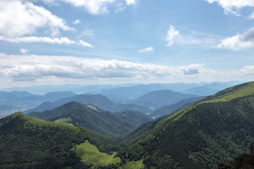 Fototapeta na wymiar The forest in the national park Mala Fatra, Slovakia.