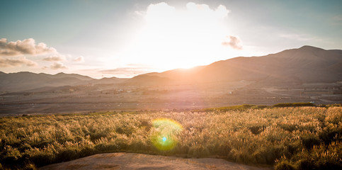 Oasis Antofagasta desierto