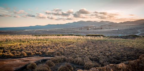 Oasis Antofagasta desierto