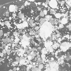 Gray paint splatter effect texture on white paper background. Artistic backdrop. Different paint drops. © artistmef
