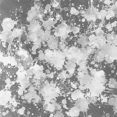 Gray paint splatter effect texture on white paper background. Artistic backdrop. Different paint drops. © artistmef
