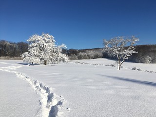 spuren durch eine unberührte schneelandschaft/tief verschneite landschaft mit schneebedeckten bäumen im sonnenschein/erholung in der natur an einem wunderschönen wintertag
