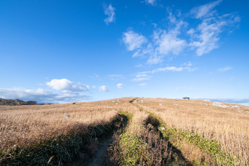 四国カルストの風景