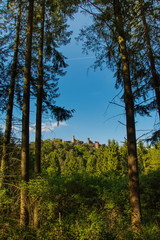 Fototapeta na wymiar Altdahn Castle - Burg Altdahn im Dahner Felsenland (Sudwestpfalz). Germany,2017