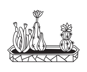 Cactus for coloring books. Vector illustration.