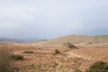 Rolling moorland in the north of Britain, large jagged rock and dry bracken