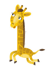cartoon scene with giraffe on white background - illustration for children