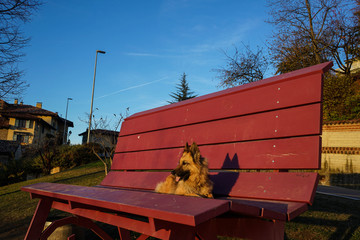 Giant bench in Monforte d'Alba