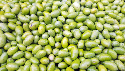 Freshly harvested green olives