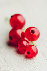 Bunch of red currant