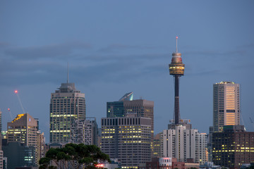 Naklejka premium sydney skyline at dawn