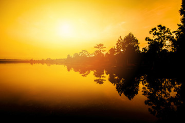 Obraz na płótnie Canvas Silhouette tree river / Landscape night swamp trees scene yellow sky background