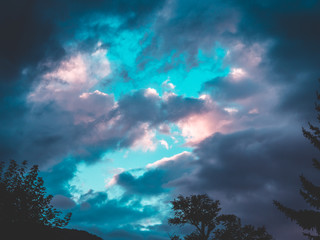 Background of clouds and light blue sky with tree silhouette on foreground.