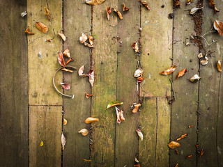 Old wooden floor / Top view of wooden texture background with dry leaves on ground - Dirty wood