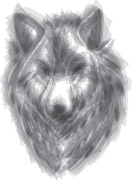 wolf vector brush style illustration