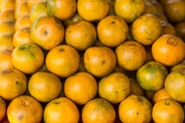 Orange garden,Fresh orange fruit in the orchard over blur orange leaves background and morning sun light,