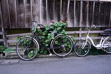 Fototapeta premium Bicycle and old fence