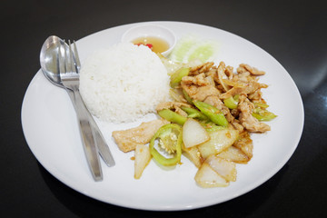 Fried Chicken with Pepper and rice plate / Stir fried chicken slice green pepper chilli onion