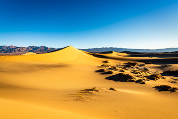 Fototapeta na wymiar Mesquite Flat Sand Dunes