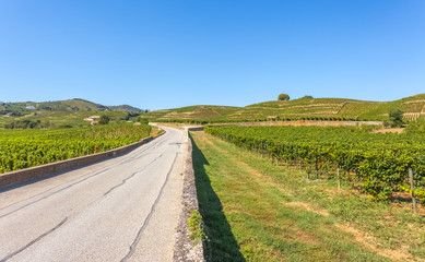 route des vins, vignobles de Tain l'Hermitage 