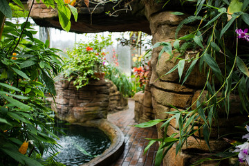 Tropical plants in a public garden and conservatory