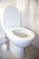 white toilet on a light background