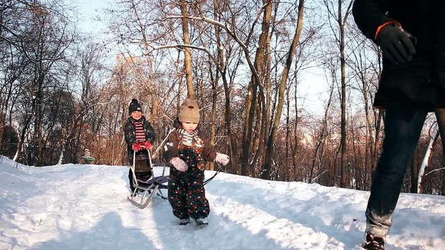 Father and his little children on sled in snow. Children on ski