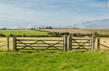 Landscape of pasture with barb wire and wooden fence