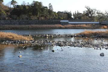 Kuma River flows by a historic castle site in Japan