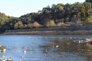 Kuma River flows by a historic castle site in Japan