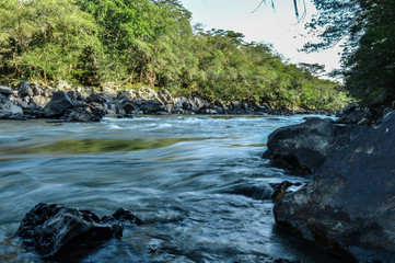 river in the forest