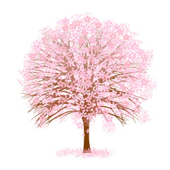 Obraz premium 桜 春 花 アイコン