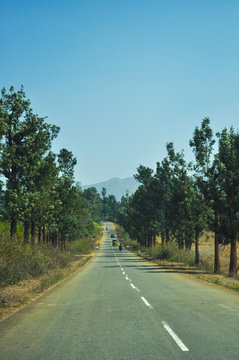 road in the forest