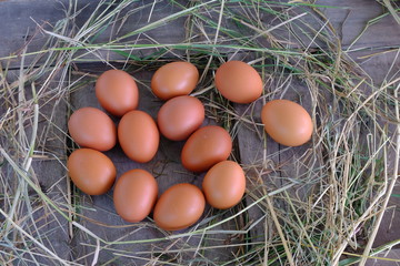 Chicken eggs in nest of straw on old wooden background.